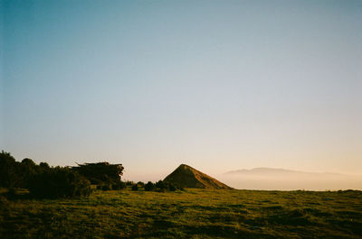 Scenic view of field against clear sky during sunset