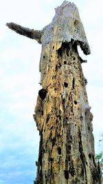 Low angle view of tree trunk against sky