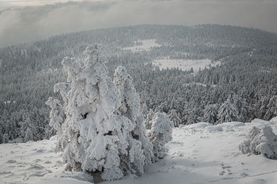 Scenic view of snow covered land