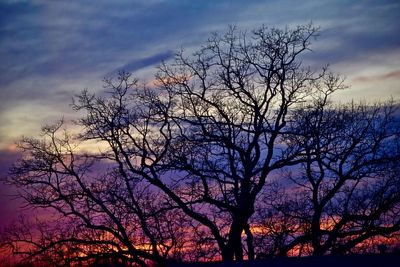 Low angle view of silhouette bare tree against sky