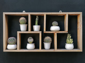 Set of potted cacti on wooden shelf against dark wall