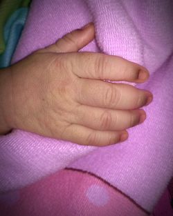 Close-up of woman hand with pink petals