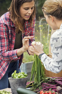 Mid adult woman selling scallions to female customer at vegetable garden