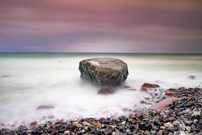 Boulders at flintstone pebbles beach. typical chalk cliff of shore. mecklenburg  pomerania, germany