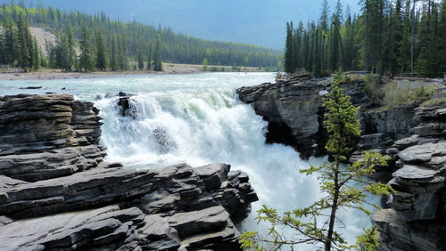 Stream flowing through rocks