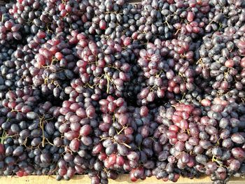 Full frame shot of grapes at market