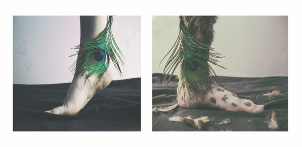 Digital composite image of a horse