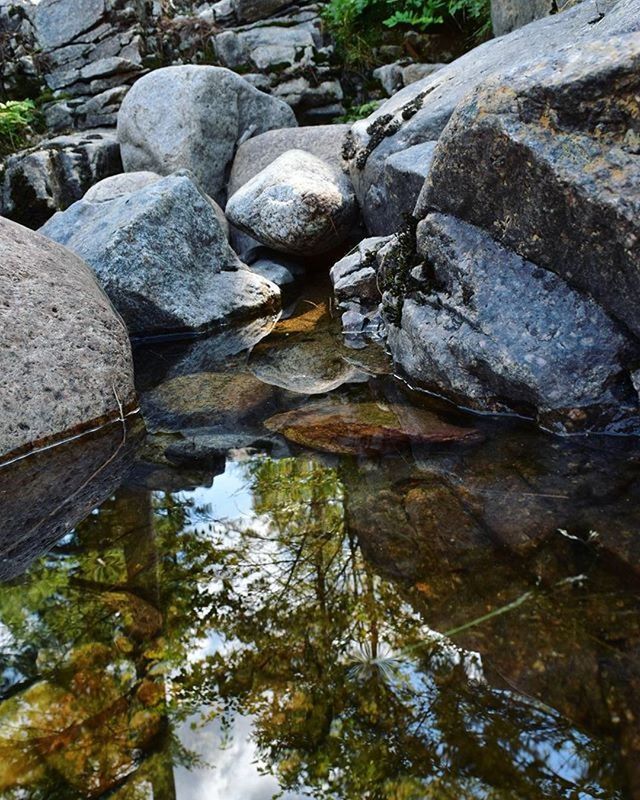 water, rock - object, reflection, stream, nature, tranquility, river, tree, beauty in nature, flowing water, lake, stone, stone - object, day, rock, flowing, high angle view, tranquil scene, outdoors, waterfront