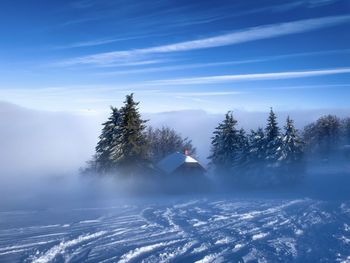 Remote cabin in the mountains during winter surrounded by coniferous trees and fog