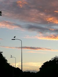 Low angle view of silhouette trees against sky at dusk