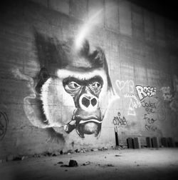 Portrait of man against graffiti on wall