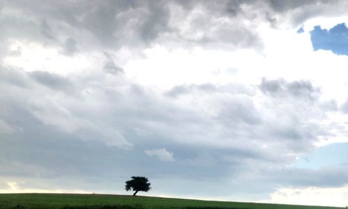 View of trees on field against cloudy sky