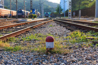 Striped bollard amidst railroad tracks