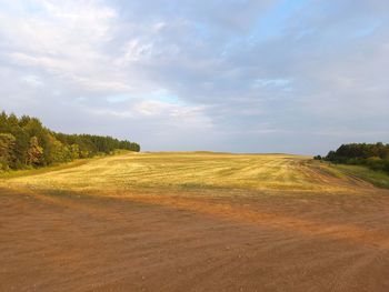 Scenic view of field against sky