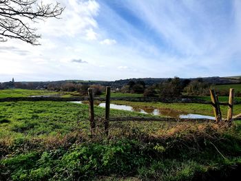 Scenic view of field against sky