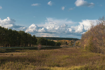 Trees on field against sky