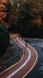 High angle view of road by trees during autumn