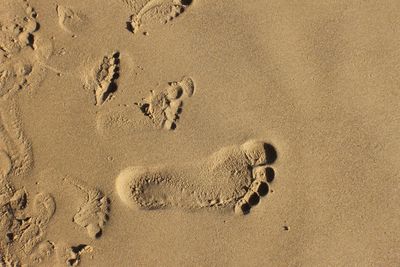 High angle view of footprints on wet sand