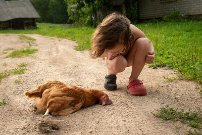 Boy looking at dead hen while crouching on land