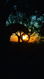 Silhouette person holding sun shining through trees during sunset