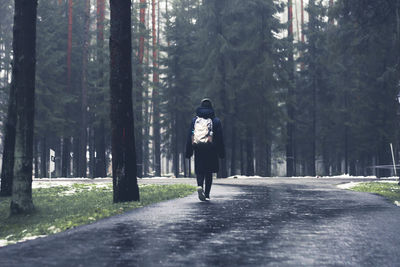 Man walking on road amidst trees in forest