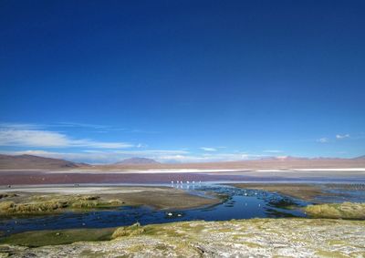 Scenic view of beach against blue sky