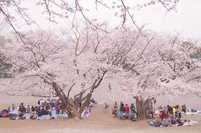 Group of people in party