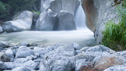 Scenic view of waterfall in forest