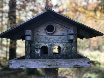 Close-up of birdhouse on tree against building