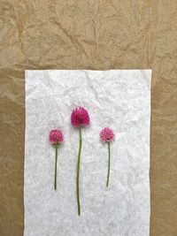 Close-up of flowers on crumpled paper