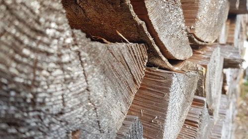 Close-up of stack of wood
