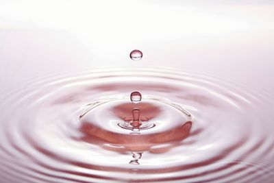 Close-up of water drop