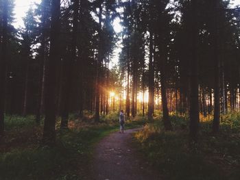 Woman walking in forest during sunset