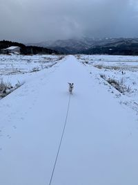 Snow covered land against sky