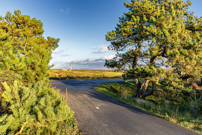 View over the solleveld dunes and water tower seen from the schelpenpad t-crossing  near monster 