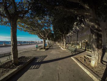 Road by trees in city against sky