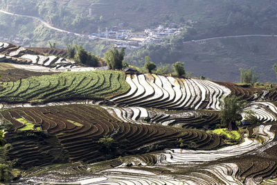 Season to get water into the field, this is a terraced field in bat xat, lao cai