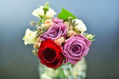 Close-up of rose bouquet