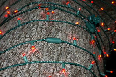 Close-up of illuminated tree during winter