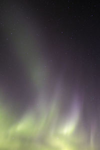 Low angle view of stars in sky