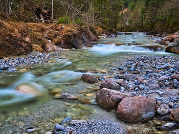 Surface level of stream flowing in forest