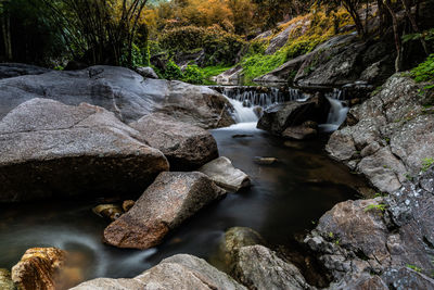 Stream flowing through rocks in forest