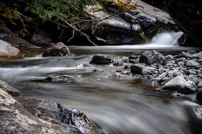 Scenic view of waterfall in forest