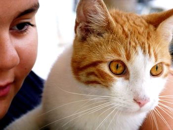 Close-up portrait of cat