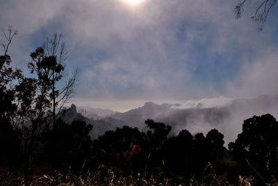 Scenic view of silhouette trees against sky during sunset