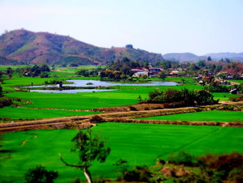 Scenic view of field against clear sky