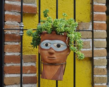 Close-up of flower plant against brick wall