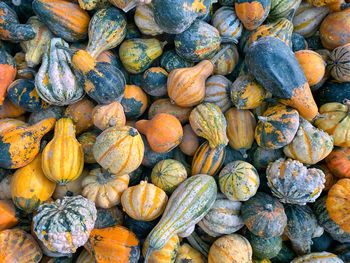 Full frame shot of pumpkins at market stall