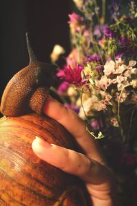 Close-up of human hand on red flower