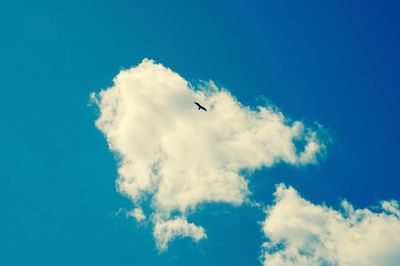 Low angle view of airplane flying in sky